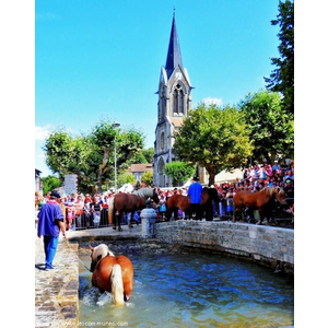 Coligny.01.Foire annuelle.2.