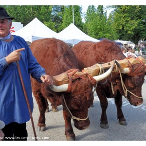 Coligny.01.Foire Bressane.
