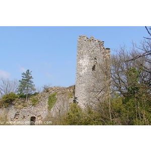 Jasseron , ruines du chateau.