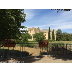 Chateau de Allemagne en provence