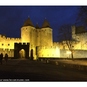 La cité de Carcassonne la nuit