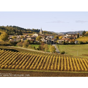 Vue générale de Tourreilles