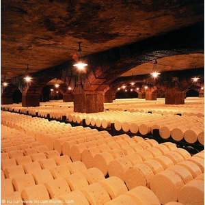 Commune de ROQUEFORT SUR SOULZON