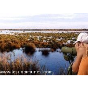 sansouire marais du vigueirat