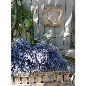 Les Baux de Provence