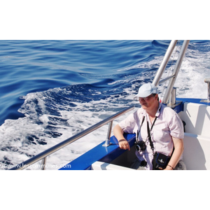 Visite des Calanques 