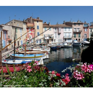  Miroir aux Oiseaux de la Venise Provençale