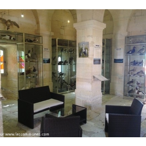 Exposition d oiseaux. Office du tourisme de Port Saint Louis du Rhône