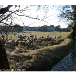 Commune de SAINT CHAMAS