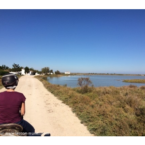 Balade a cheval a Saintes maries de la Mer