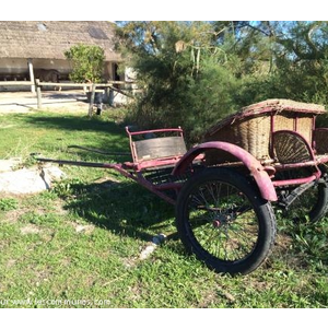 Saintes maries de la Mer