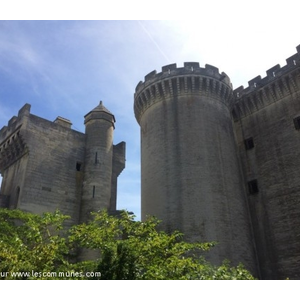 Château de Tarascon (Bouches du Rhône)