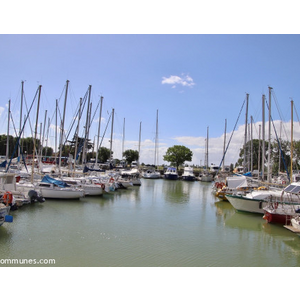 le port