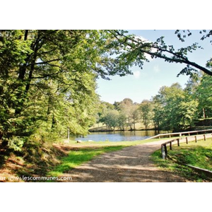 Château de Sedieres ( Parc )