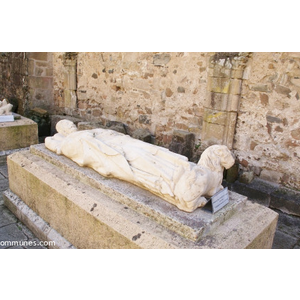 Cathédrale Notre Dame