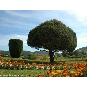 Au coeur du village ... luminosité et fraîcheur,...