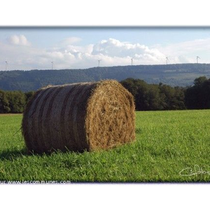 Sur les hauteurs de DAMBELIN, en allant vers GOUX-...