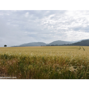 Commune de MONTELIER
