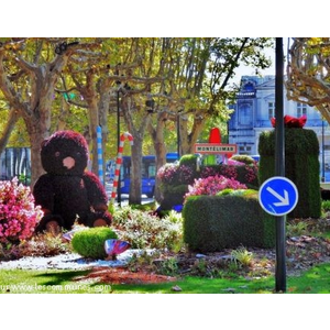 Montélimar.26.Les allées de Provence.