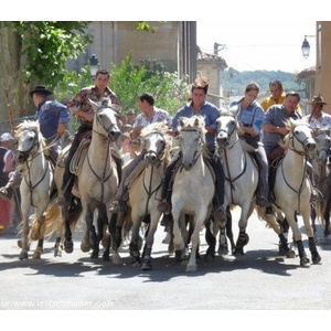 Commune de SAINT MARCEL DE CAREIRET