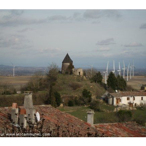   (  Apres)  nouvelles vue du MOULIN   apres qu(un semi d eleolienes) est pris racine           BRAVO aux decideurs

