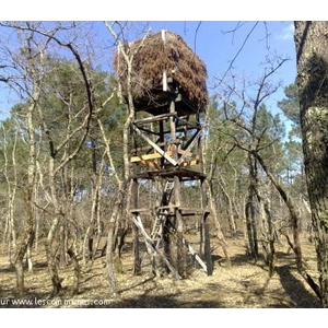 Tour de guet dans le bois