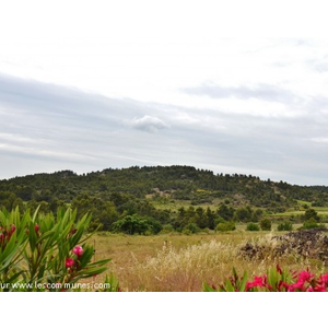 Campagne de Beaufort