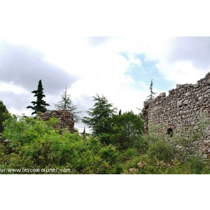 Ruines du Château St Baulery