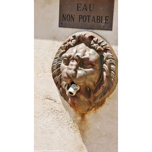 Détail de la Fontaine