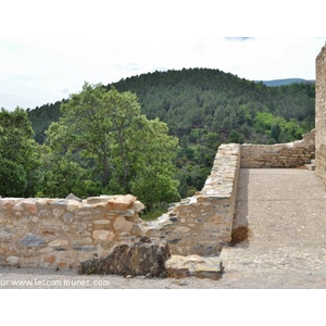 Ruines de l Ancien Château