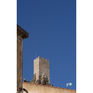 Le Village ( La Tour 10 Em Siècle )