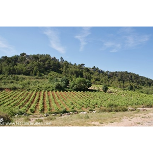 Le Village ( Les alentours )