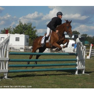 Jumping international 2010