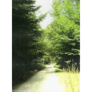 Commune de SOUVIGNY DE TOURAINE