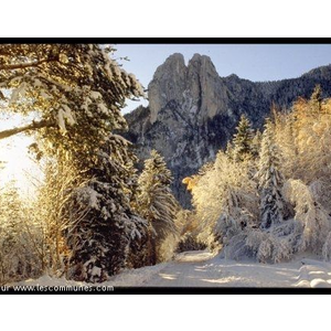 Commune de SAINT NIZIER DU MOUCHEROTTE