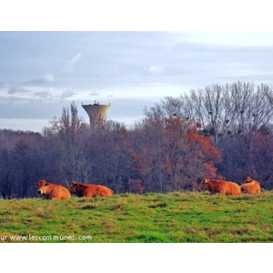 Asnans Jura.automne.