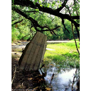 Asnans.Jura.Les Illons.