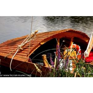 Bac entre Montlivault et Cour-sur-Loire
