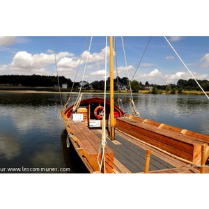 
Bac entre Montlivault et Cour-sur-Loire