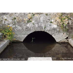 Reflet  dans le lavoir .