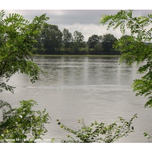 La Loire à Saint-Denis-sur-Loire