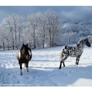 Commune de QUEYRIERES