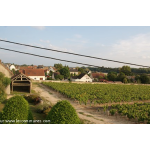 Commune de POUILLY SUR LOIRE