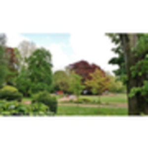 La Mairie ( Le Parc )