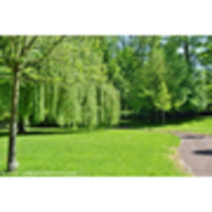 Parc du Château des Croisiers