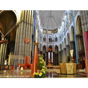 Notre-Dame de la Treille