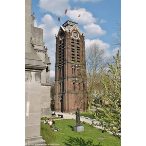 Notre-Dame de la Treille ( Le Clocher )