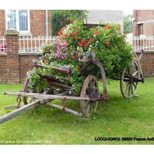 Photos de la commune de locquignol