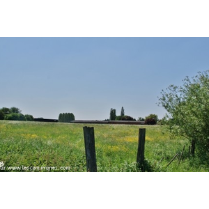 Campagne de Marchiennes