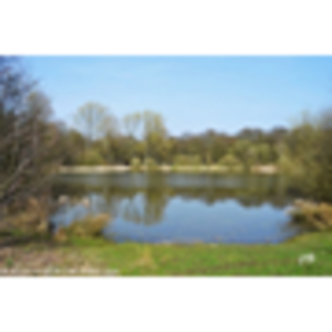 Commune de PHALEMPIN